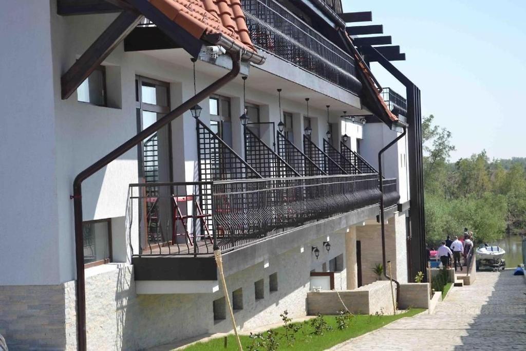 Pensiunea Delta Dreams Dunavăţu de Jos Εξωτερικό φωτογραφία